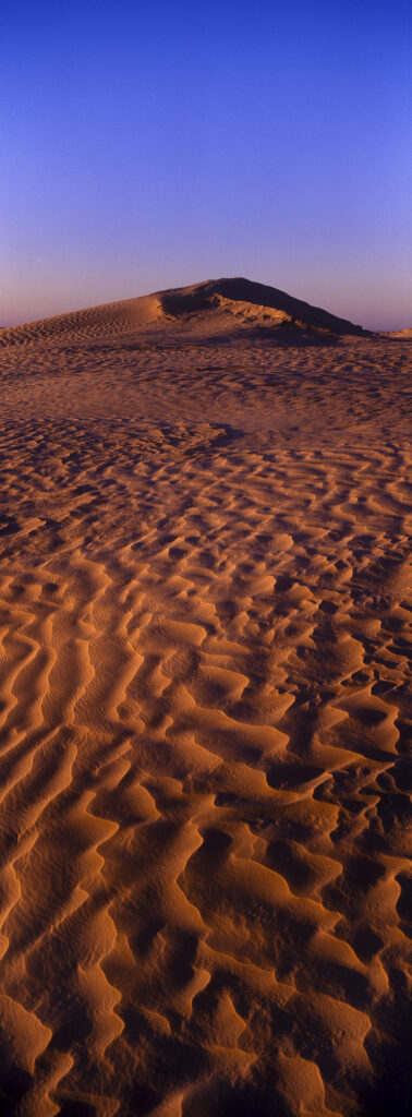 TUNISIA, Zaafrane, Sahara Desert. Morning light illuminates the patterns of the sand dunes of the great erg oriental.
