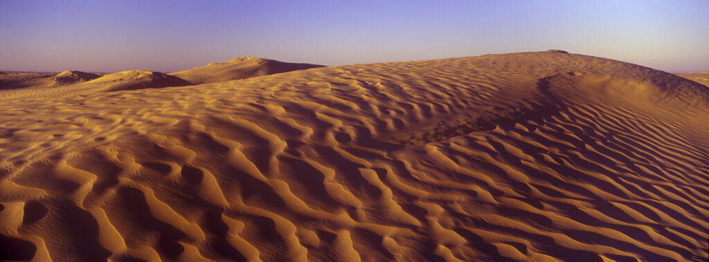 TUNISIA, Zaafrane, Sahara Desert. Morning light illuminates the patterns of the sand dunes of the great erg oriental.