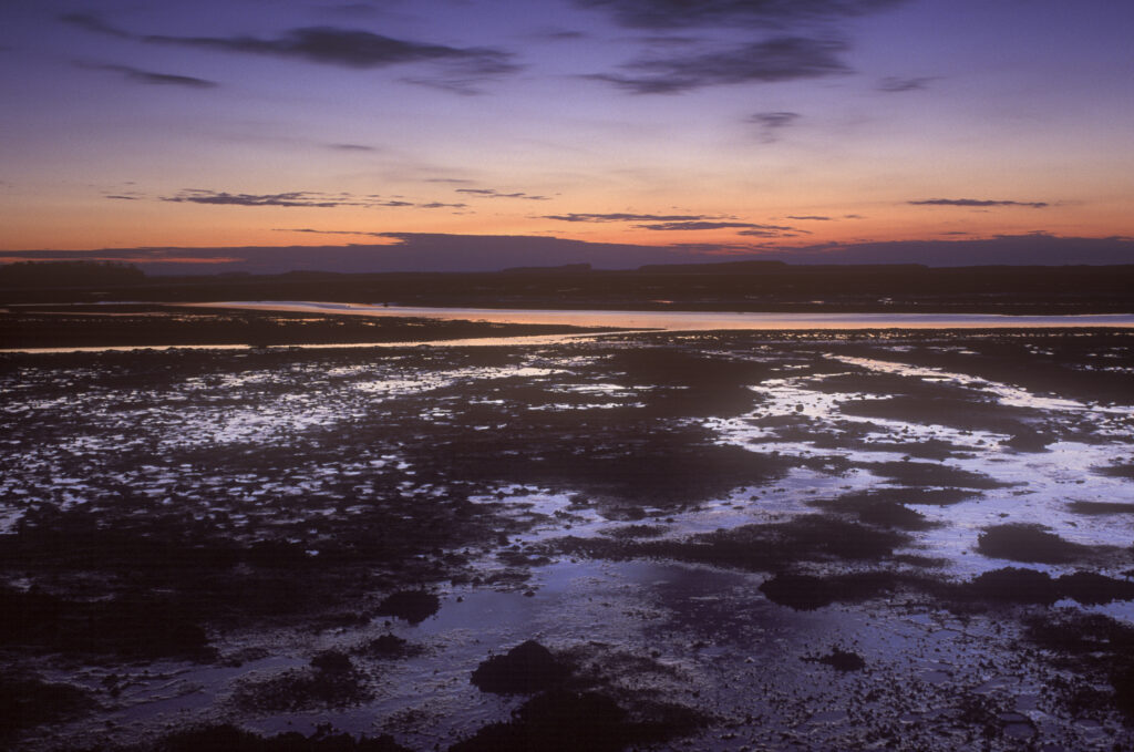 ENGLAND, Northumberland, Budle Bay. Dusk over the waters of the bay, part of the Heritage coast.