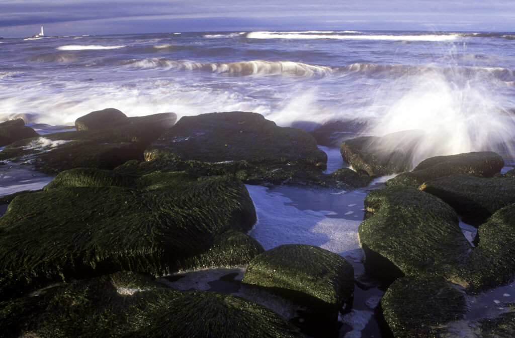 Crashing North Sea waves engulf the rock coastline of the Whitley Bay seafront.