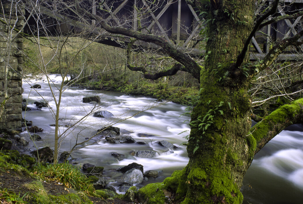 ENGLAND, Cumbria, Lake District National Park. River Greta flowing through Brundholme Wood near Keswick.