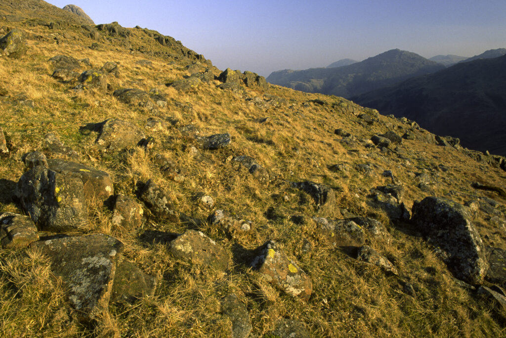 ENGLAND, Cumbria, Lake District National Park. Late afternoon light illuminates the lichen covered rocks of Martcrag Moor on the Cumbria Way