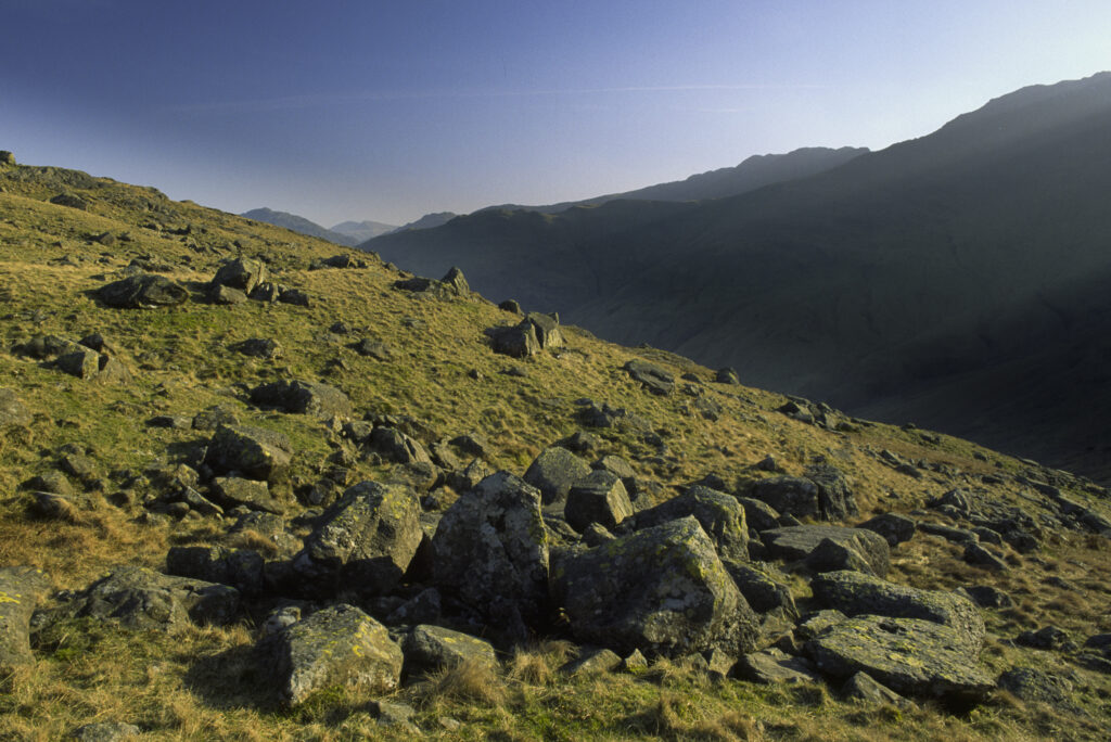 ENGLAND, Cumbria, Lake District National Park. Late afternoon light illuminates the lichen covered rocks of Martcrag Moor