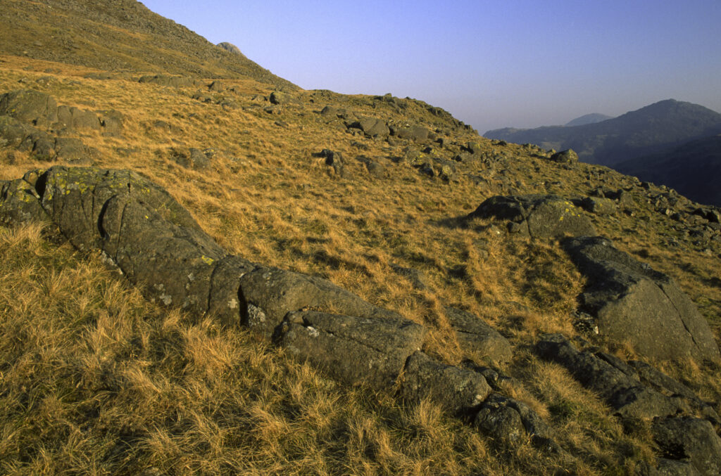 ENGLAND, Cumbria, Lake District National Park. Late afternoon light illuminates the lichen covered rocks of Martcrag Moor