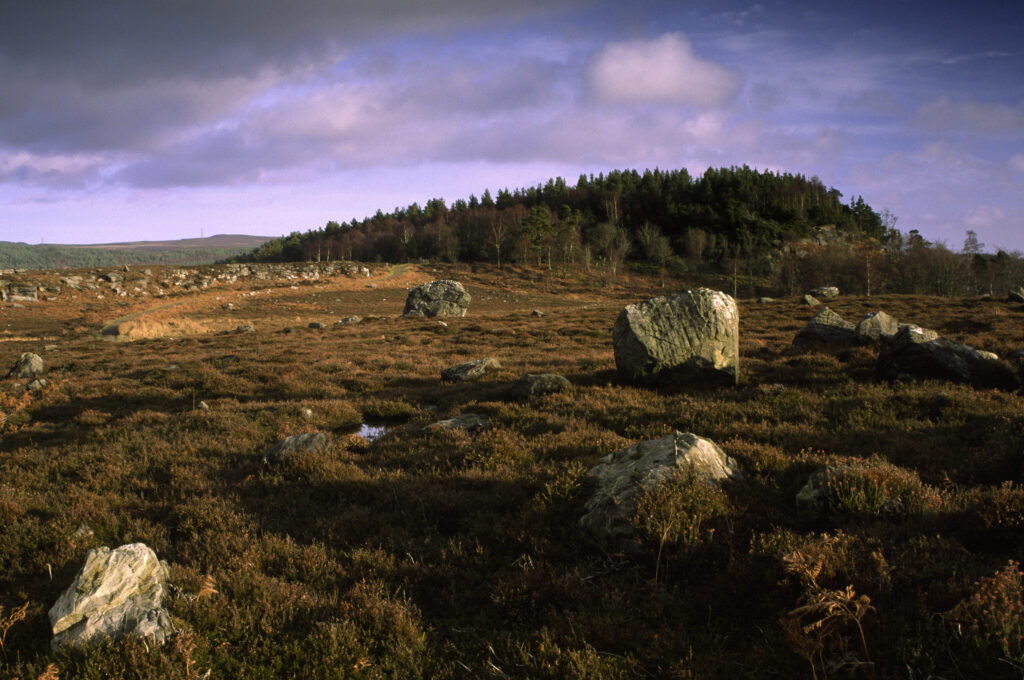 ENGLAND, Northumberland, Rothbury. The open moorland of the Rothbury Terraces a popular spot for local and visiting walkers