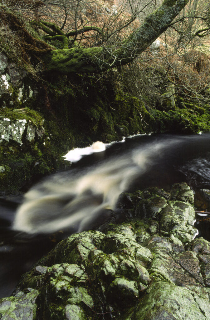 ENGLAND, Northumberland, Ingram. The fast flowing waters downstream of the Linhope Spout Waterfall