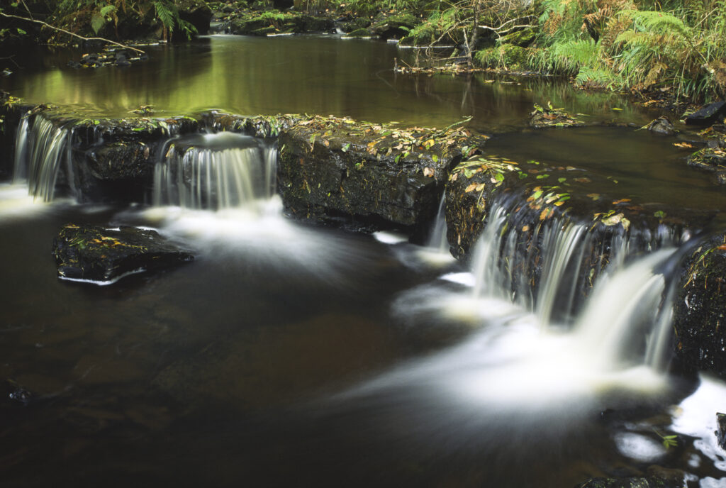 ENGLAND, Northumberland, Northumberland National Park. The flowing waters of the Hareshaw Burn complemented by autumn leaves