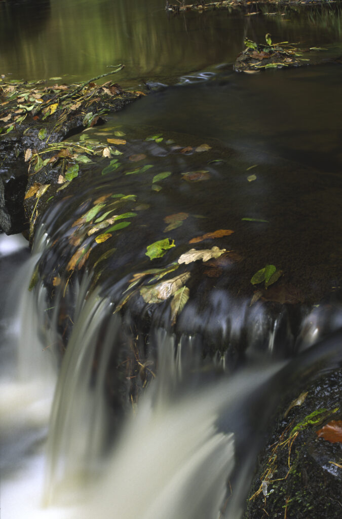 ENGLAND, Northumberland, Northumberland National Park. The flowing waters of the Hareshaw Burn complemented by autumn leaves