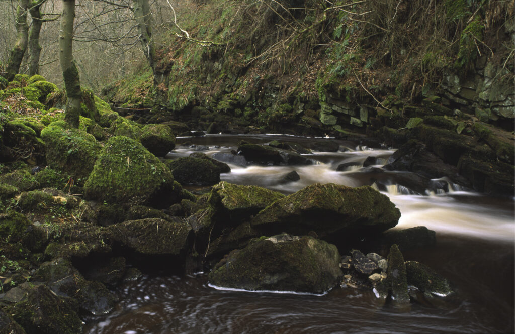 ENGLAND, Northumberland, Haltwhistle Burn & Gorge. The flowing waters of the burn running through the trees rocks of the gorge.