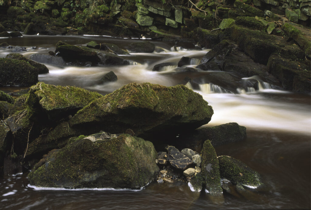 ENGLAND, Northumberland, Haltwhistle Burn & Gorge. The flowing waters of the burn running through the trees rocks of the gorge.