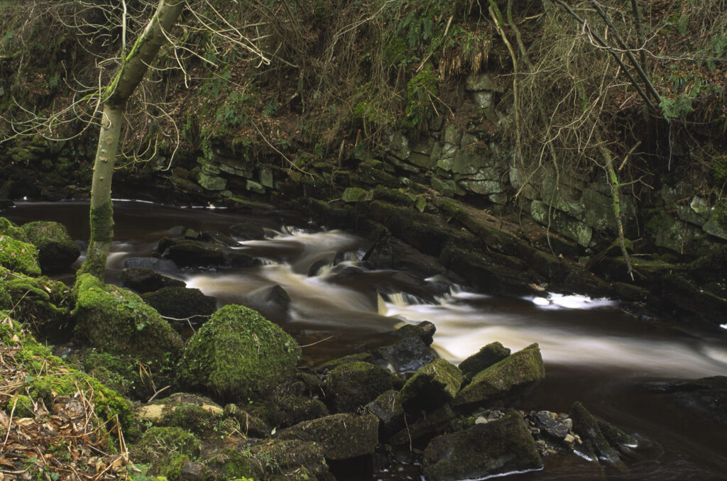 ENGLAND, Northumberland, Haltwhistle Burn & Gorge. The flowing waters of the burn running through the trees rocks of the gorge.