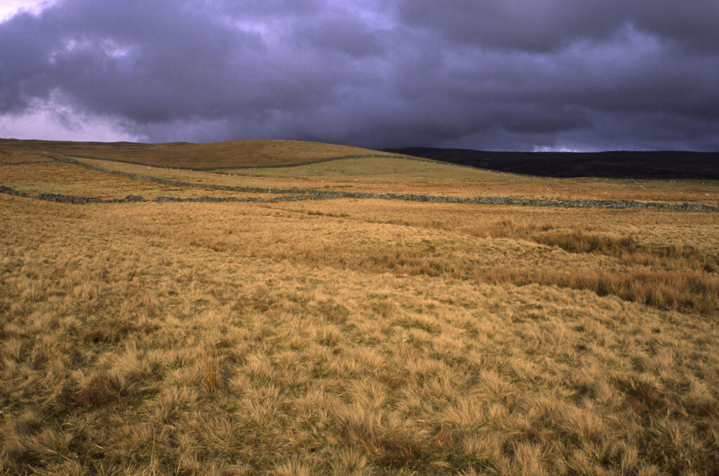 ENGLAND, Yorkshire, Yorkshire Dales National Park. A shaft of sun illuminates a field and drystone wall in Ribblesdale