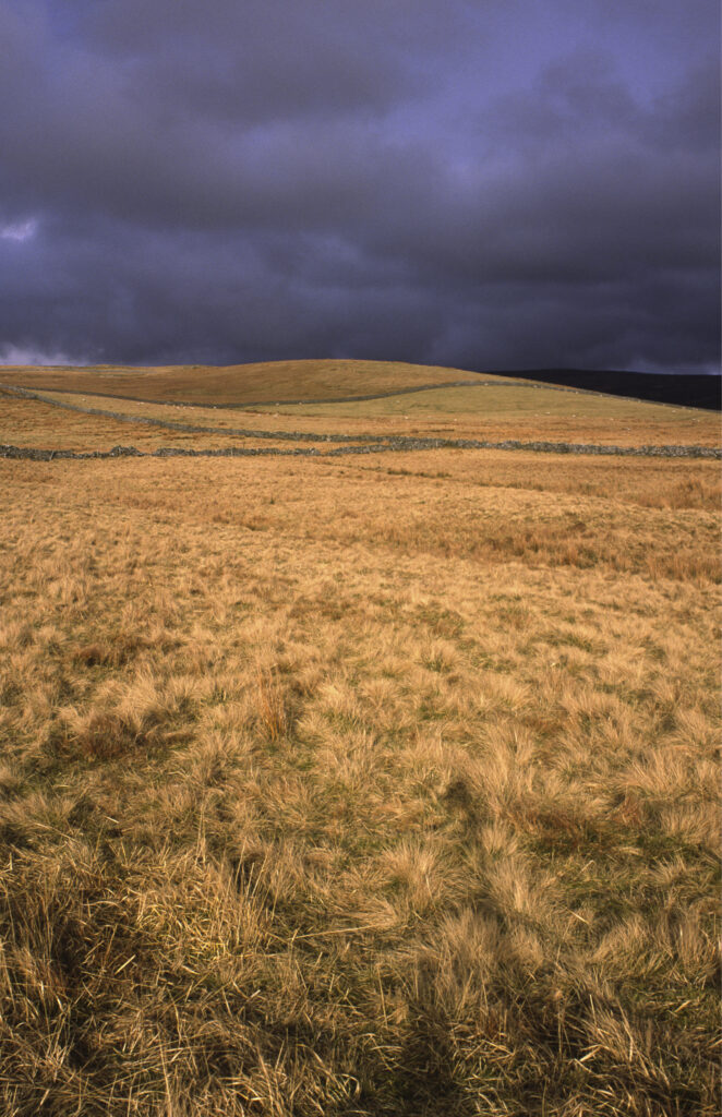 ENGLAND, Yorkshire, Yorkshire Dales National Park. A shaft of sun illuminates a field and drystone wall in Ribblesdale