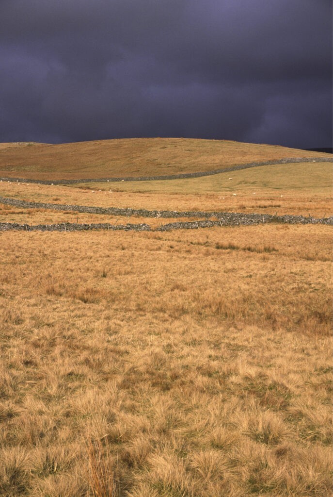 ENGLAND, Yorkshire, Yorkshire Dales National Park. A shaft of sun illuminates a field and drystone wall in Ribblesdale