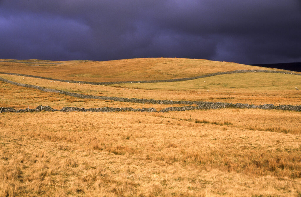 ENGLAND, Yorkshire, Yorkshire Dales National Park. A shaft of sun illuminates a field and drystone wall in Ribblesdale