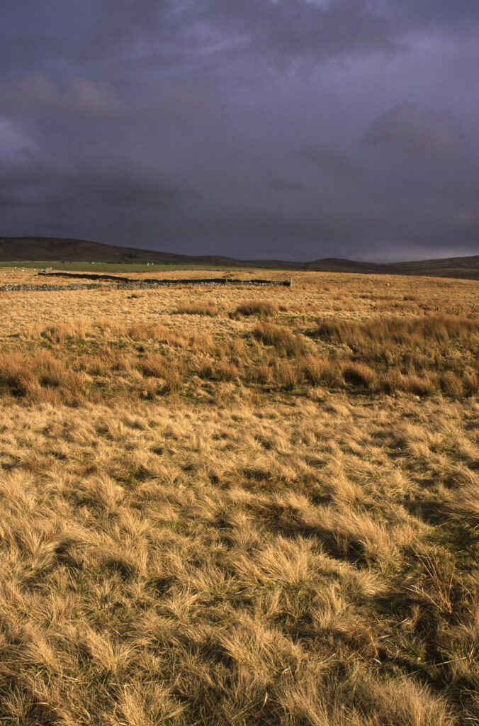 ENGLAND, Yorkshire, Yorkshire Dales National Park. A shaft of sun illuminates a field and drystone wall in Ribblesdale
