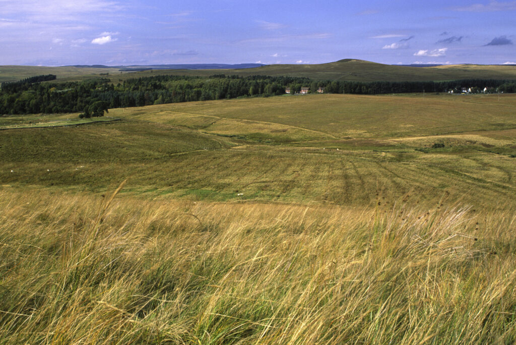 ENGLAND, Northumberland, Otterburn. Typical views to be found near to the town of Otterburn, in Northumberland National Park.