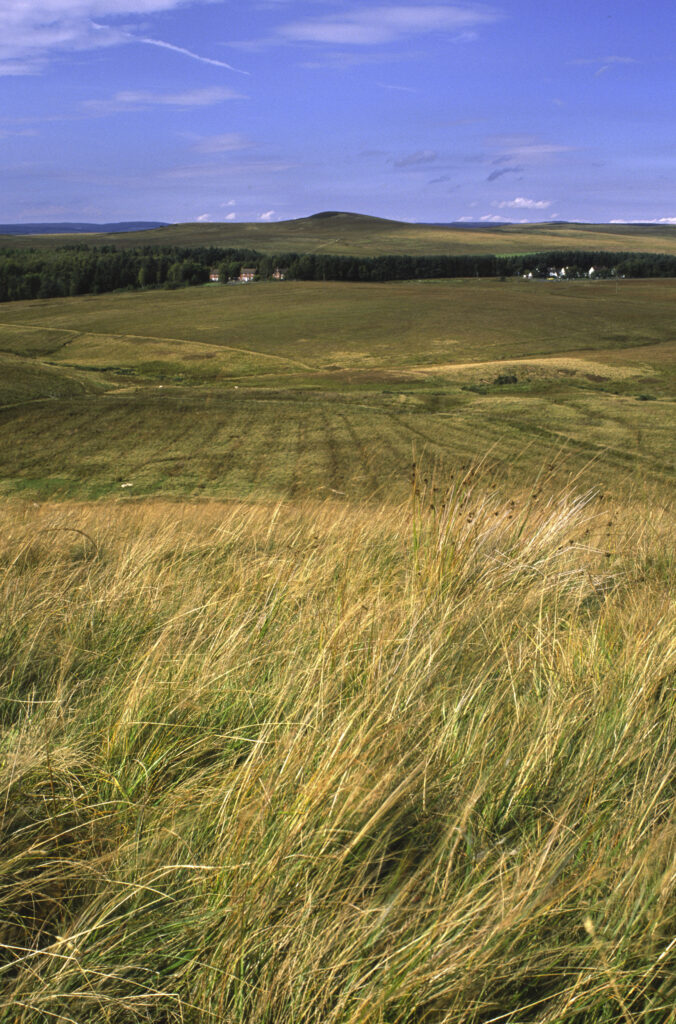 ENGLAND, Northumberland, Otterburn. Typical views to be found near to the town of Otterburn, in Northumberland National Park.