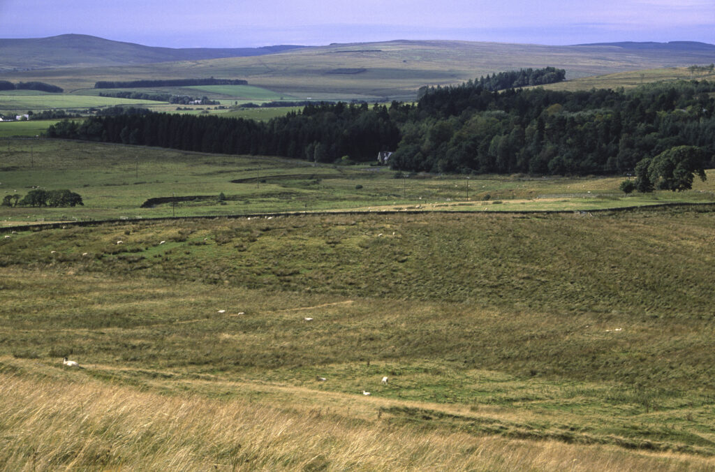 ENGLAND, Northumberland, Otterburn. Typical views to be found near to the town of Otterburn, in Northumberland National Park.