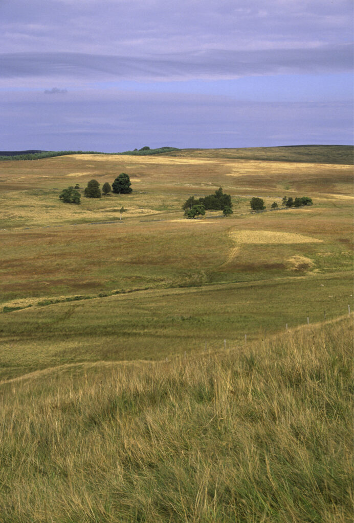 ENGLAND, Northumberland, Otterburn. Typical views to be found near to the town of Otterburn, in Northumberland National Park.