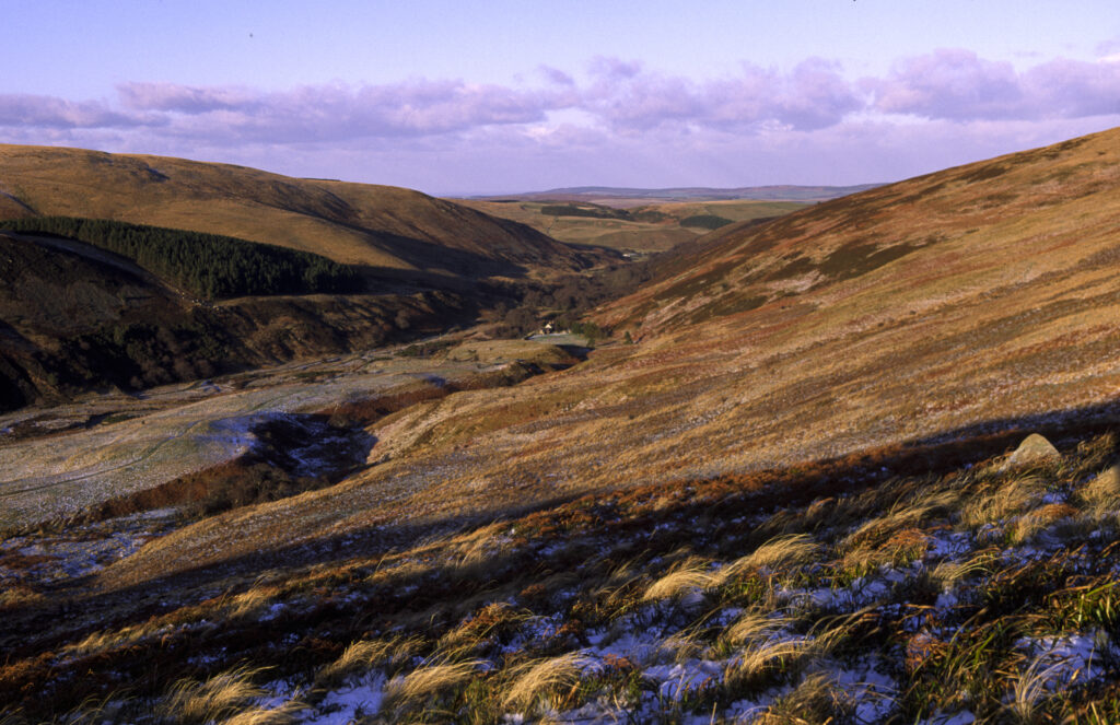 ENGLAND, Northumberland, Northumberland National Park. View looking from high above Harthope Valley, towards the Cheviots.