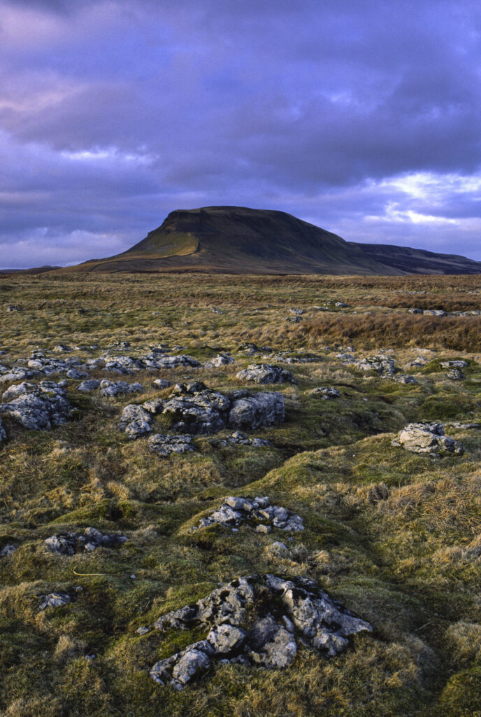 ENGLAND, Yorkshire, Yorkshire Dales National Park. Limestone outcrops in moor land dominated by the peak of Pen-y-ghent.