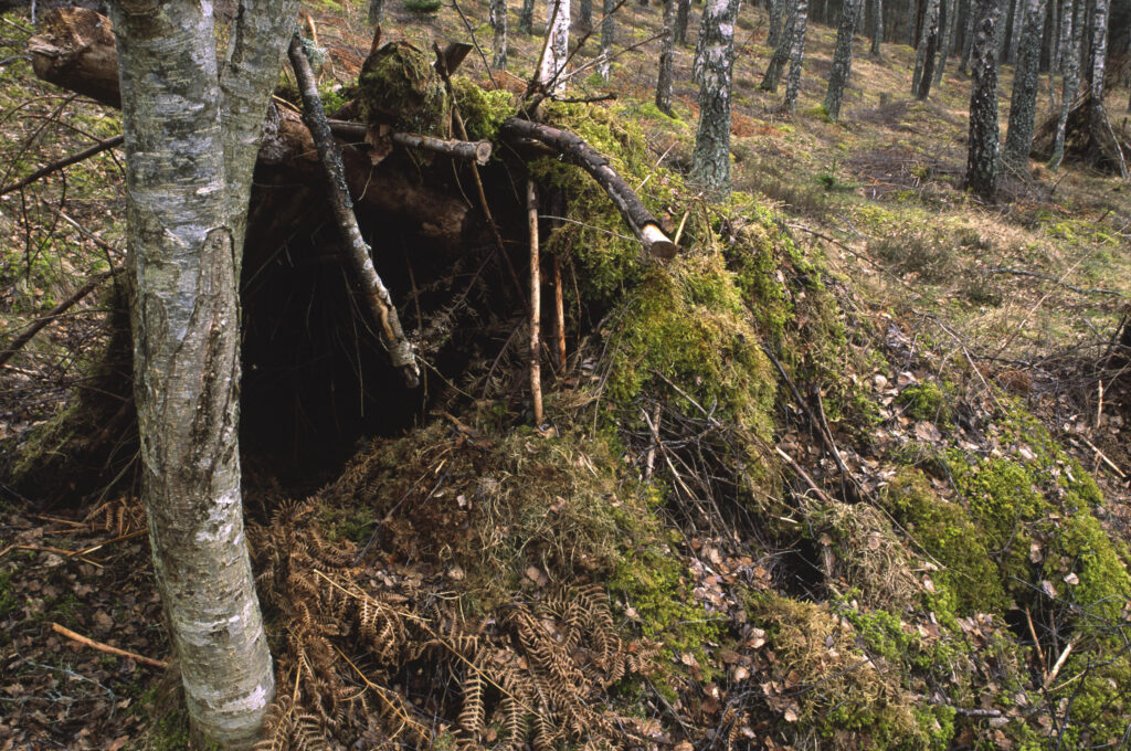 SCOTLAND, Scottish Highlands, Cairngorms National Park. A simple shelter found in the RSPB reserve near to Loch Insh.