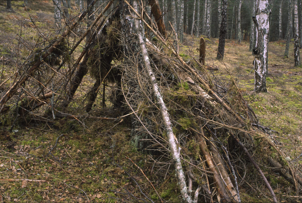 SCOTLAND, Scottish Highlands, Cairngorms National Park. A simple shelter found in the RSPB reserve near to Loch Insh.