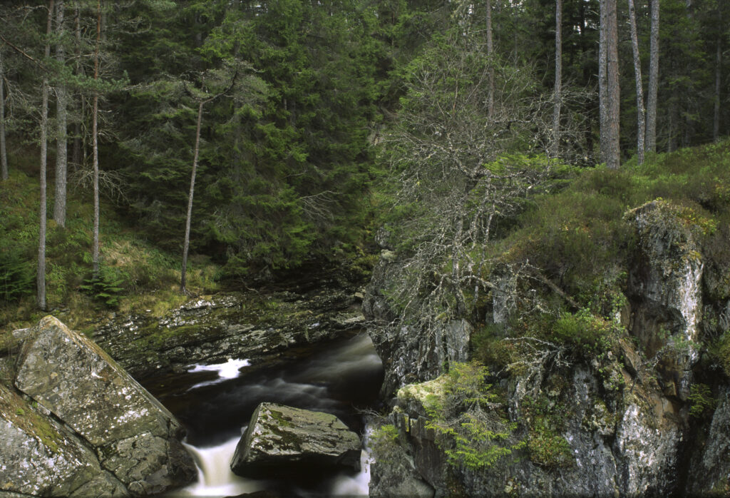 SCOTLAND, Scottish Highlands, Cainrgorm National Park. The fast flowing falls of the river pattack and surrounding woodland.