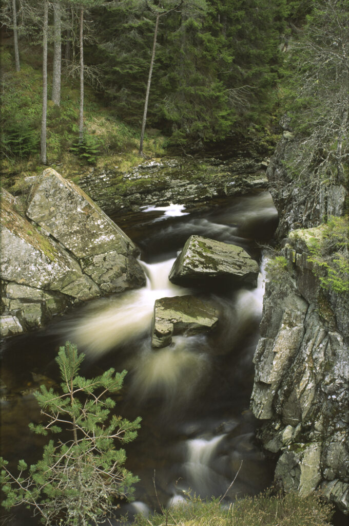 SCOTLAND, Scottish Highlands, Cainrgorm National Park. The fast flowing falls of the river pattack and surrounding woodland.