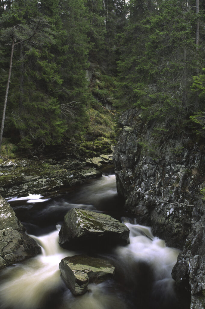SCOTLAND, Scottish Highlands, Cainrgorm National Park. The fast flowing falls of the river pattack and surrounding woodland.