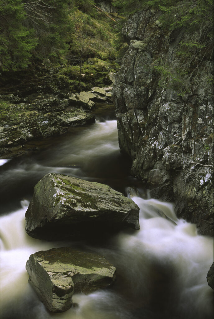 SCOTLAND, Scottish Highlands, Cainrgorm National Park. The fast flowing falls of the river pattack and surrounding woodland.