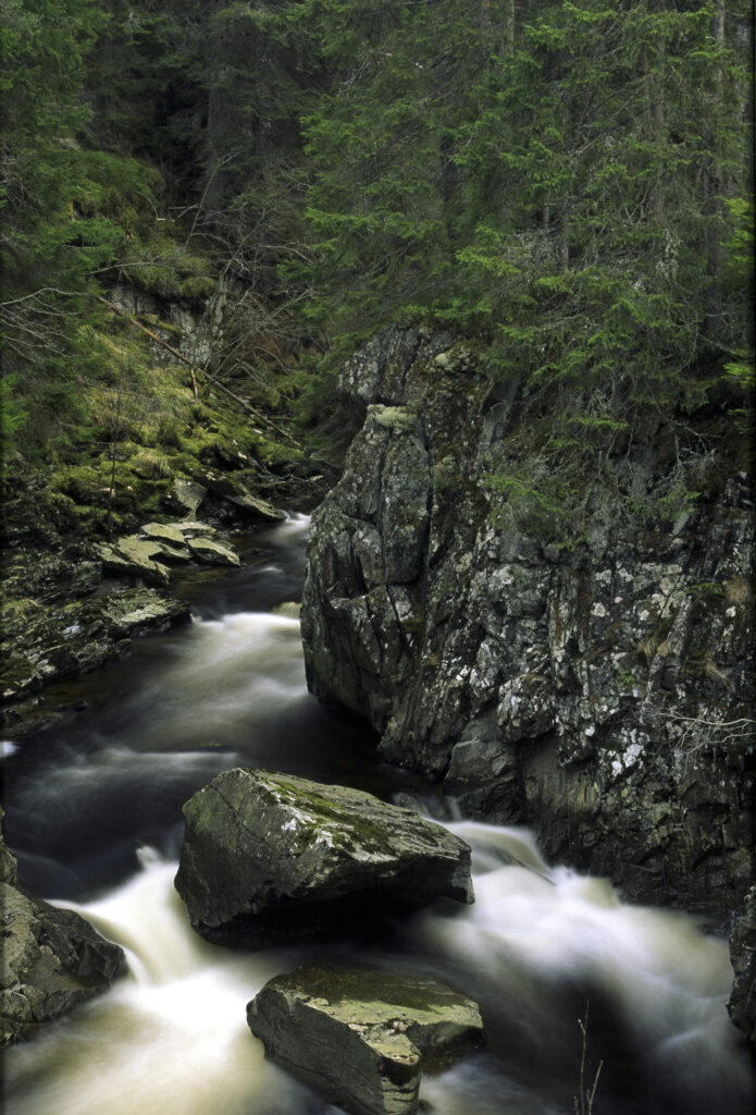 SCOTLAND, Scottish Highlands, Cainrgorm National Park. The fast flowing falls of the river pattack and surrounding woodland.