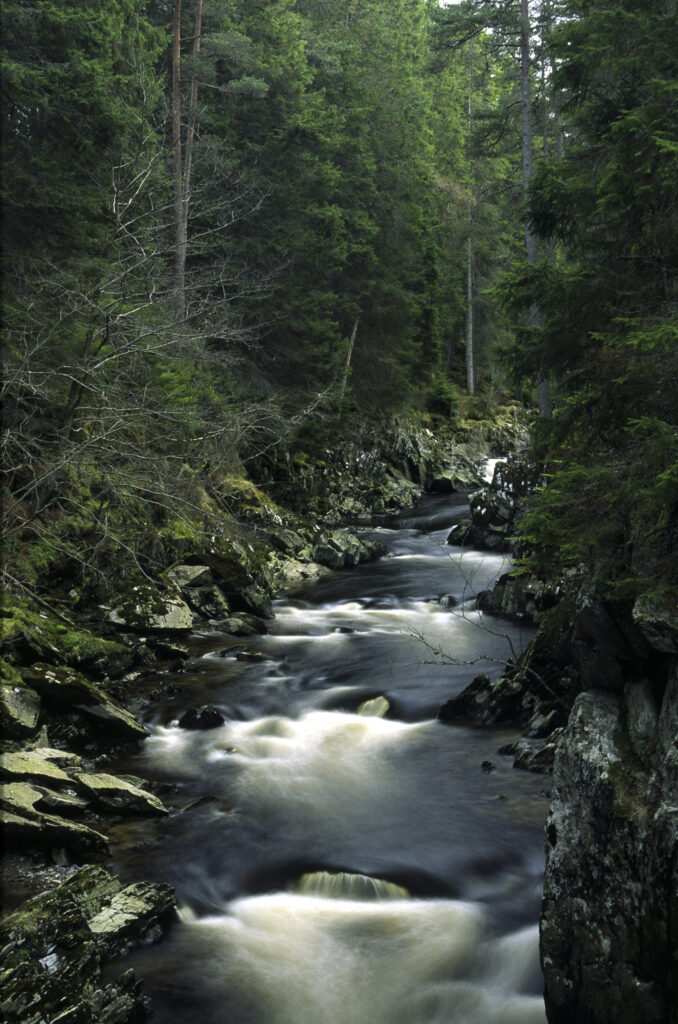 SCOTLAND, Scottish Highlands, Cainrgorm National Park. The fast flowing falls of the river pattack and surrounding woodland.