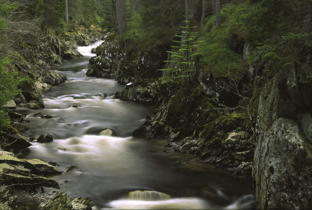 SCOTLAND, Scottish Highlands, Cainrgorm National Park. The fast flowing falls of the river pattack and surrounding woodland.