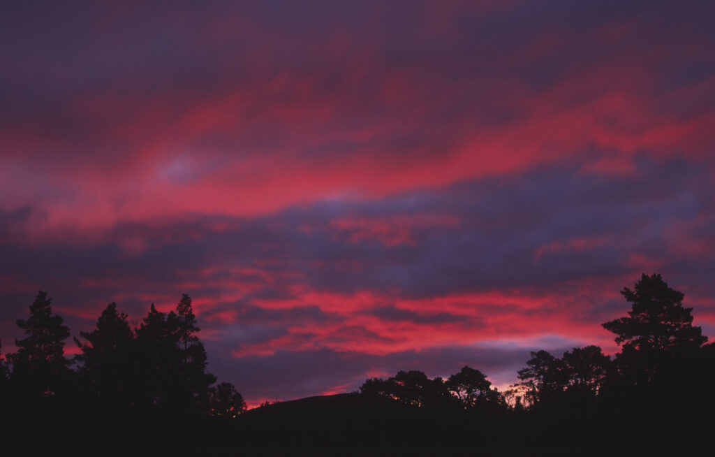 SCOTLAND, Scottish Highlands, Cairngorm National Park. The deep red colous of a sunrise behind the trees and peaks of Glen More Forest Park.