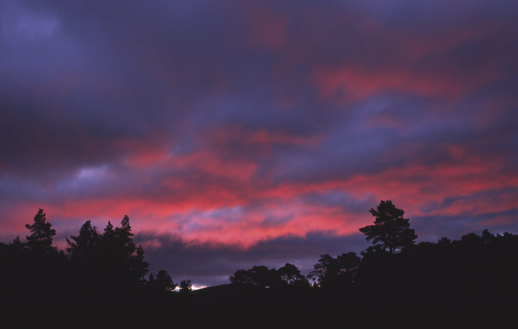 SCOTLAND, Scottish Highlands, Cairngorm National Park. The deep red colous of a sunrise behind the trees and peaks of Glen More Forest Park.
