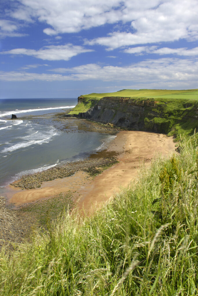 ENGLAND, Yorkshire, North York Moors National Park. Wild grass land above the sweeping bay of Saltwick Bay near Whitby
