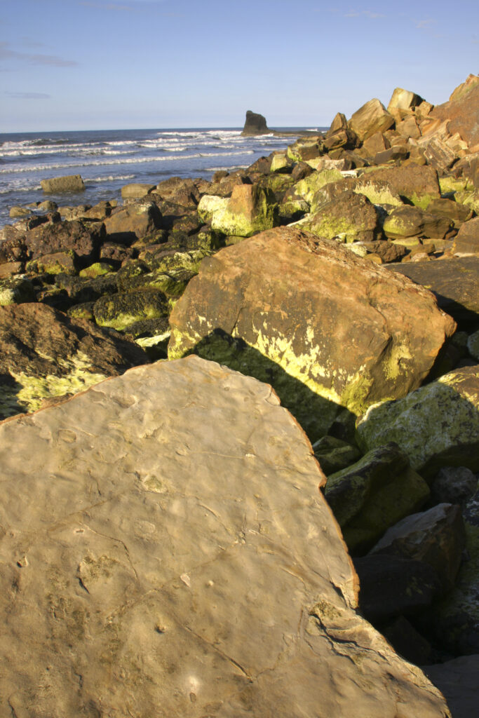 ENGLAND, Yorkshire, North York Moors National Park. Evening light iluminates the boulders of Saltwick Bay near Whitby