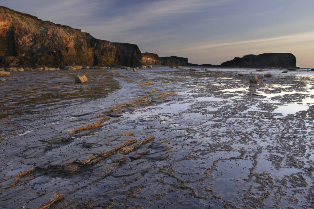 ENGLAND, Yorkshire, North York Moors National Park. Morning light iluminates the coastline of Saltwick Bay and Nab near Whitby