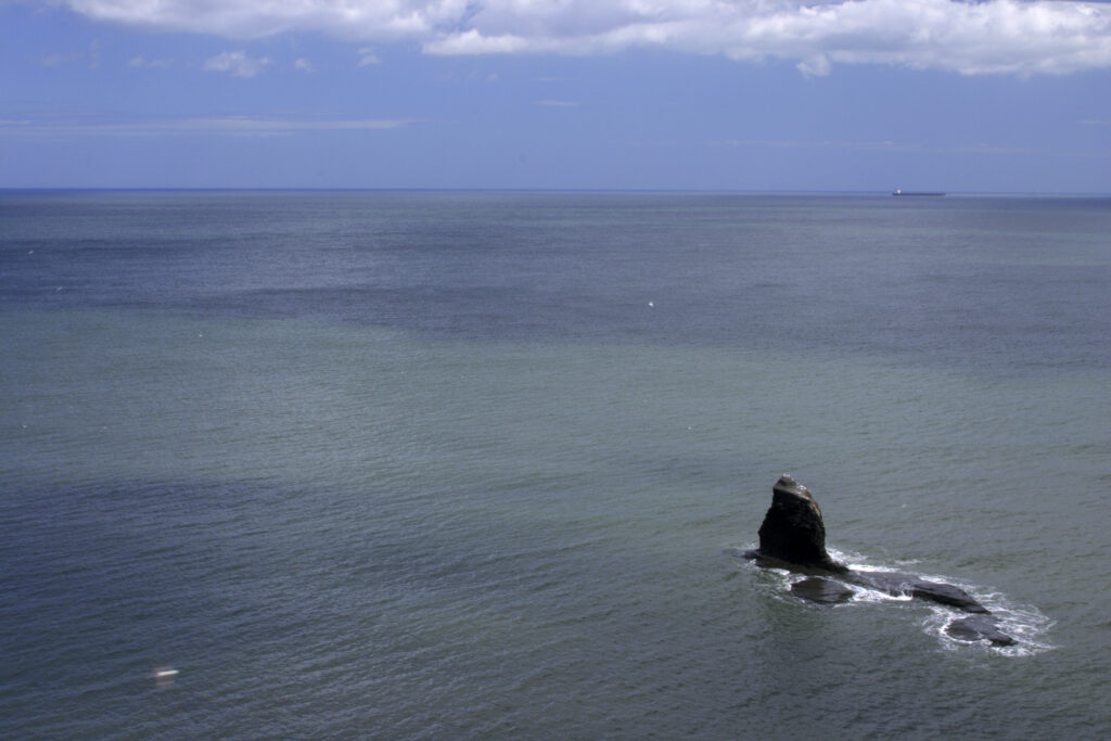 ENGLAND, Yorkshire, North York Moors National Park. A view looking across the coastline of Saltwick Bay near Whitby