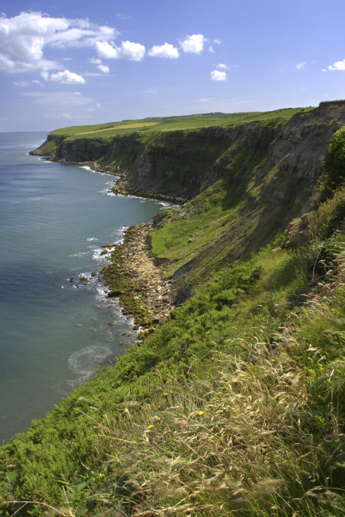 ENGLAND, Yorkshire, North York Moors National Park. A typical example of the sweeping coastline to be found near Whitby