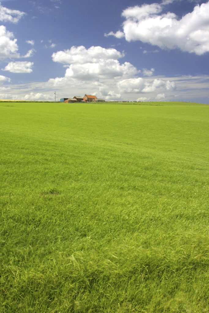ENGLAND, Yorkshire, North York Moors National Park. A farmers field above the spectacular coastline near Whitby