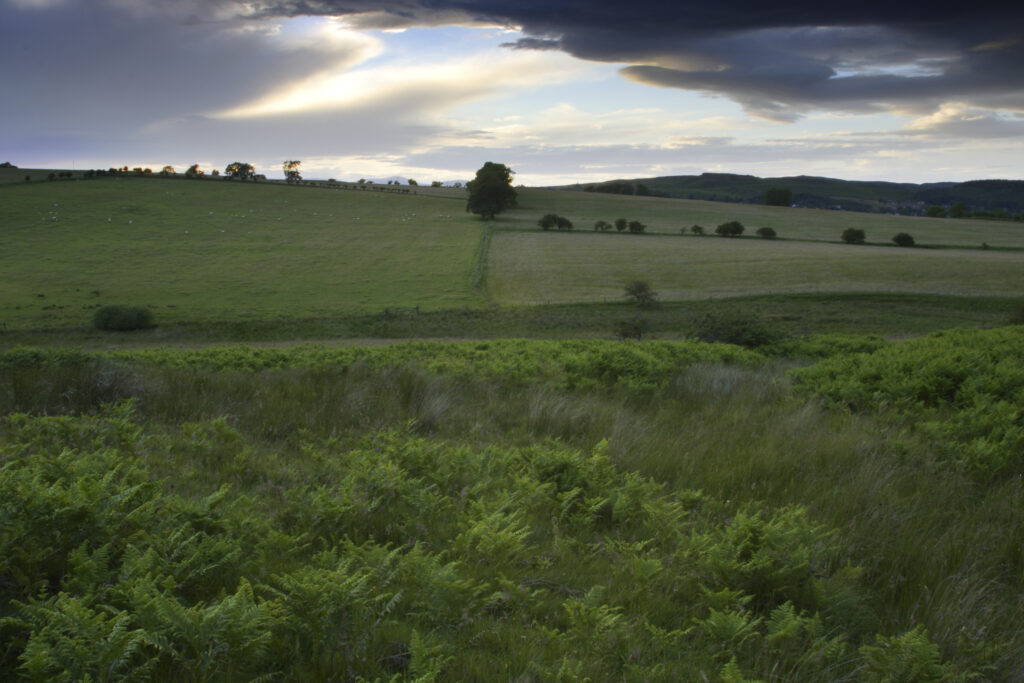 ENGLAND, Northumberland, Rothbury. A dramatic sky appears as the storm clears over fields near the Simonside hills.