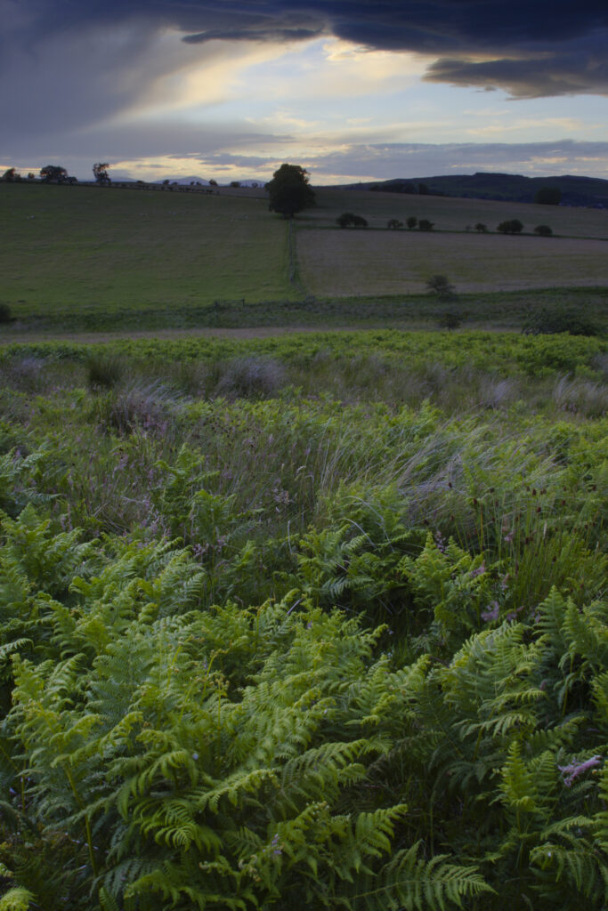 ENGLAND, Northumberland, Rothbury. A dramatic sky appears as the storm clears over fields near the Simonside hills.