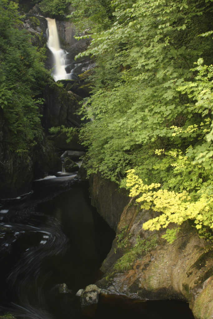 ENGLAND, Yorkshire, Yorkshire Dales National Park. The fast flowing first Pecca falls waterfall running through woodland, near Ingleton.