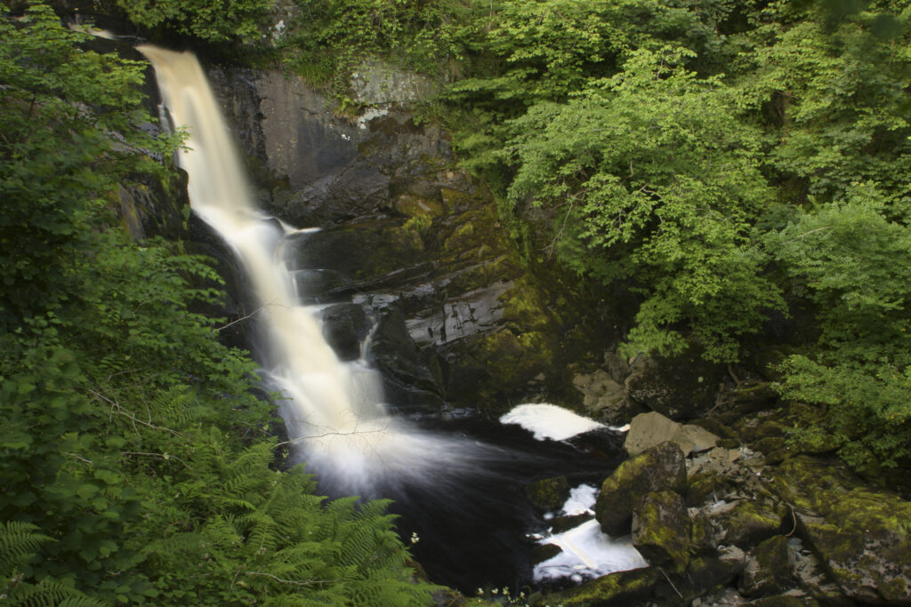ENGLAND, Yorkshire, Yorkshire Dales National Park. The fast flowing first Pecca falls waterfall running through woodland, near Ingleton.