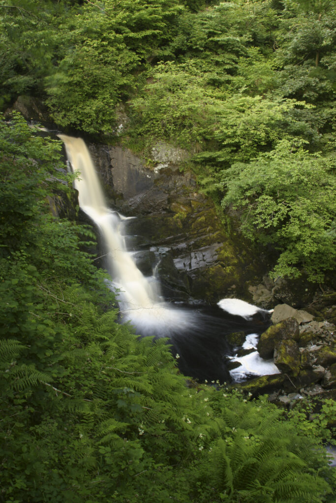 ENGLAND, Yorkshire, Yorkshire Dales National Park. The fast flowing first Pecca falls waterfall running through woodland, near Ingleton.