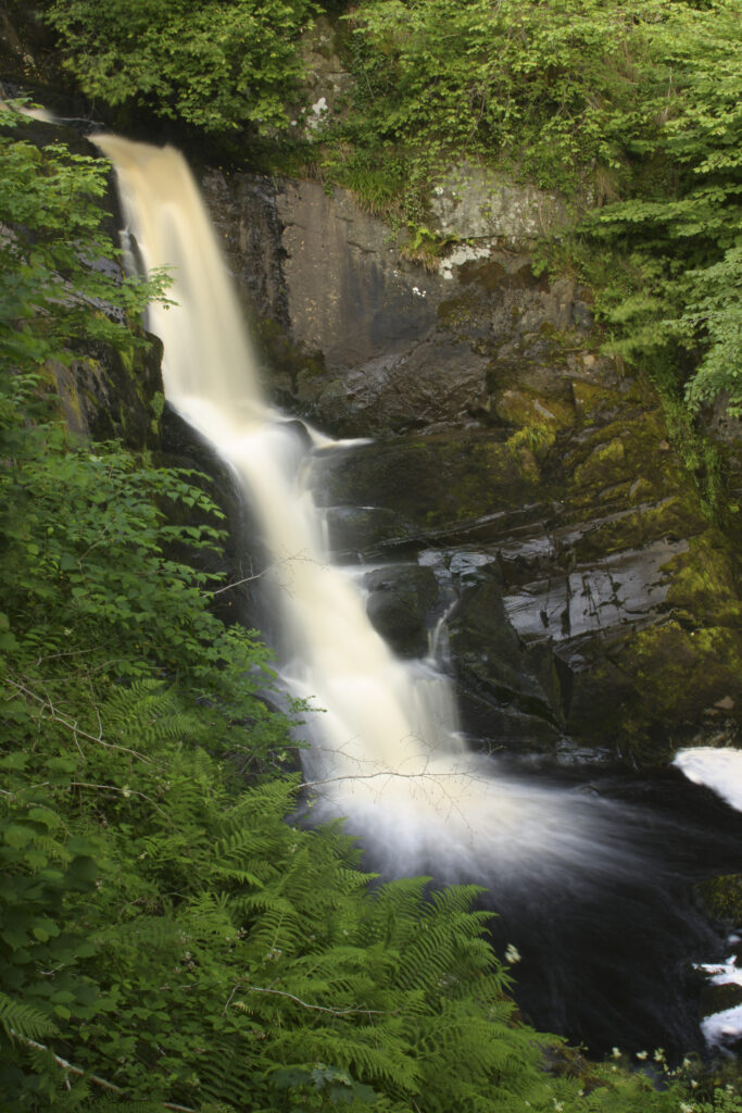 ENGLAND, Yorkshire, Yorkshire Dales National Park. The fast flowing first Pecca falls waterfall running through woodland, near Ingleton.