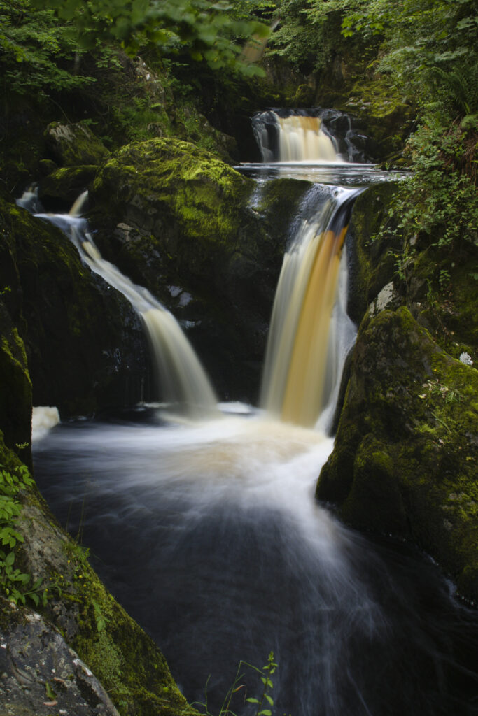 ENGLAND, Yorkshire, Yorkshire Dales National Park. The fast flowing Pecca twin falls waterfalls running through woodland, near Ingleton.